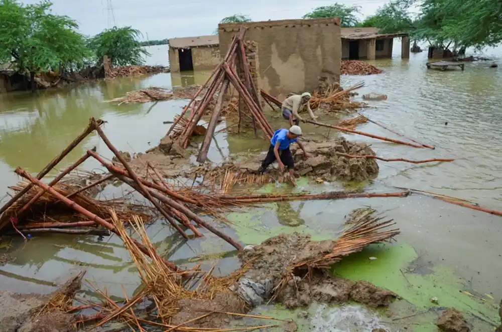 FLOODS EMERGENCY 2022- A BRIEF ASSESSMENT STUDY OF DAMAGES IN SINDH PROVINCE DUE TO RECENT FLOODS￼