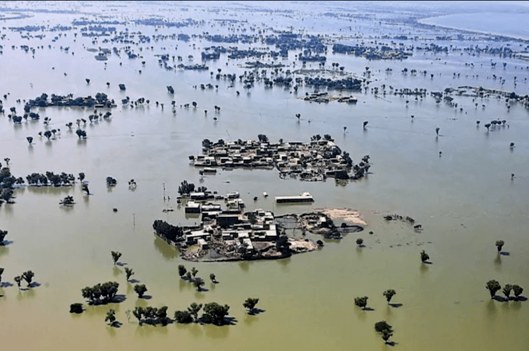 Floods 22: Unfolding Health Disaster in affected areas