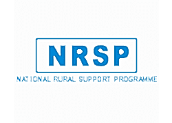 21-NRSP.png