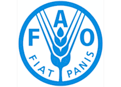 41-FAO.png